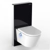 Complete toilet and bidet with premium toilet tank in black with glass cover and contactless flushing