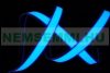 Illuminated film light strip 30 cm long 12V cutable, can be glued, can be glued blue color - electroluminescent film