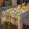 Solar amber string lights 5 meters 50 pcs warm white LED outdoor lighting waterproof decoration
