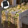 Solar amber string lights 5 meters 50 pcs warm white LED outdoor lighting waterproof decoration