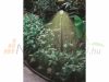 Solar garden lamp that can be inserted into the ground. 2 solar lamps with warm white light and motion sensor