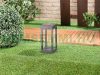 Solar LED lamp 80 lumen 1W decorative solar lamp with remote control 