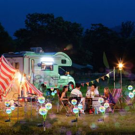   Földbe szúrható napelemes pitypang világítás 2 darabos szett kültéri szolár világítás