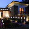 Solar dandelion lighting that can be inserted into the ground, a set of 2 outdoor solar lighting